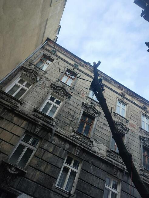 Wycinka i pielęgnacja drzew trudnych alpinistycznie rębaługi