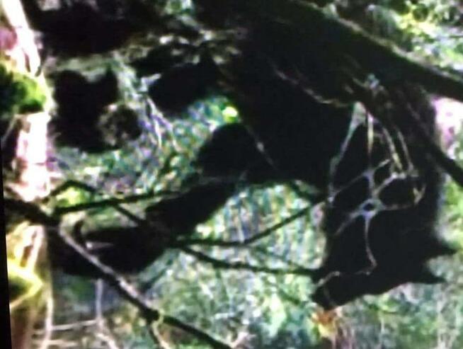 Spotkanie, Które Może Odmienić Wszystko