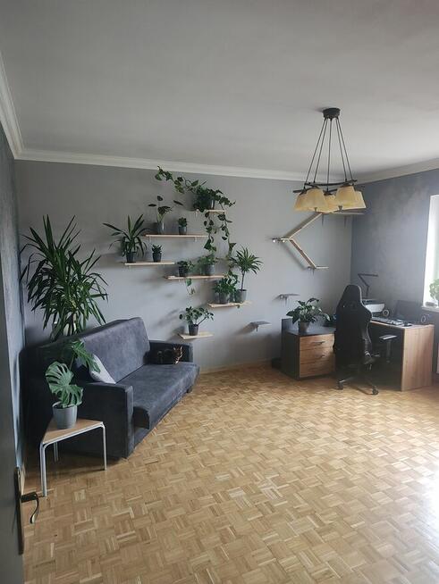 Wyjątkowy dom jednorodzinny – bliźniak w centrum Torunia.