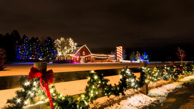 Świąteczne porządkowanie ogrodu