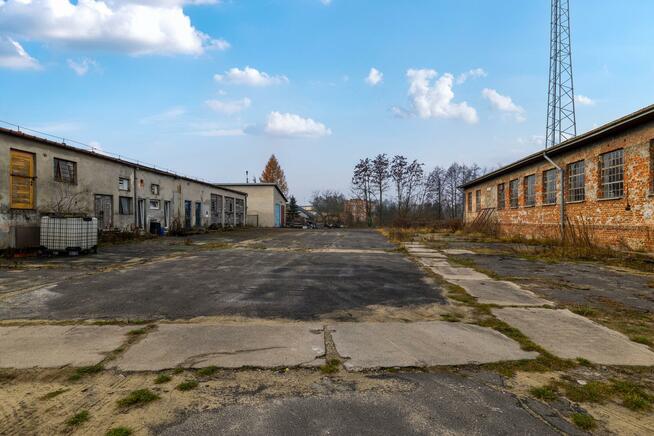 Lokal użytkowy Szczekociny