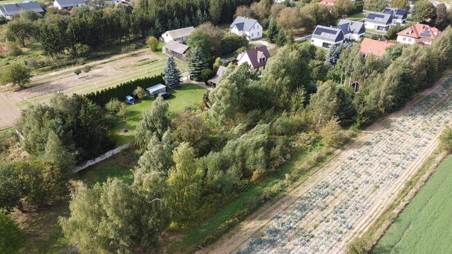 Praktyczne wymiary,zaciszna lokalizację, dużo ziel