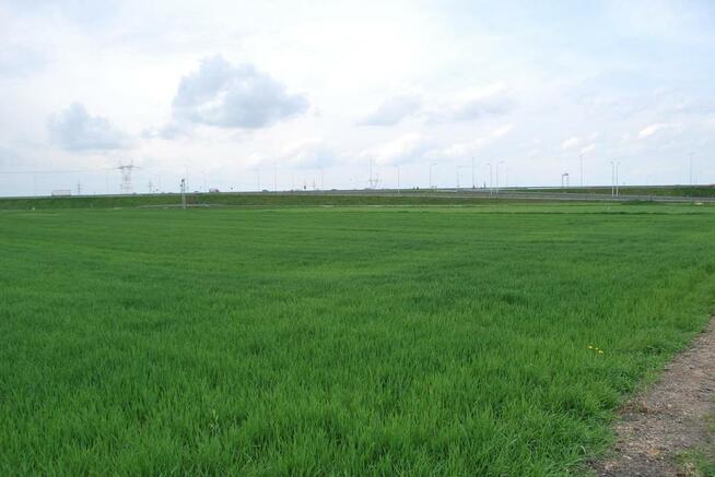 Atrakcyjna działka usługowa przy obwodnicy Lublina