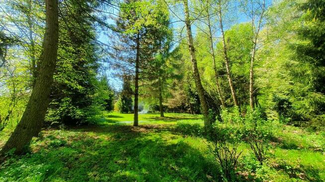 Działka, Zemborzyce Tereszyńskie, 57 ar