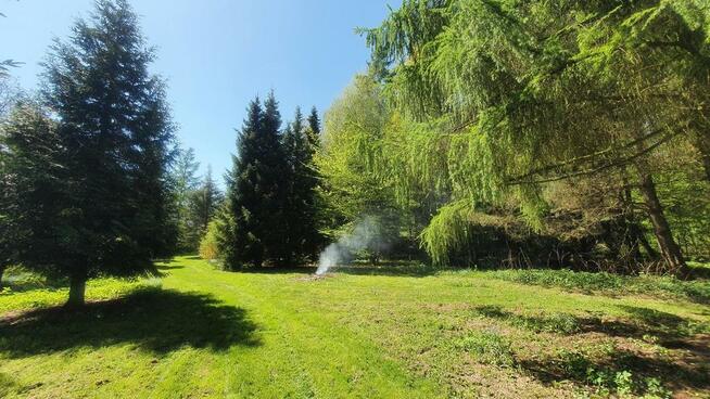 Działka, Zemborzyce Tereszyńskie, 57 ar