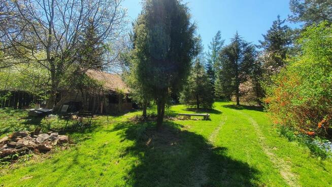 Działka, Zemborzyce Tereszyńskie, 57 ar