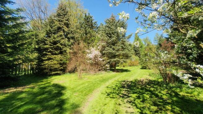 Działka, Zemborzyce Tereszyńskie, 57 ar