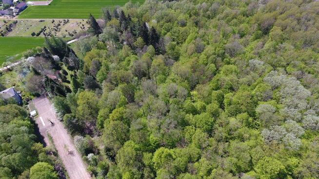 Działka, Zemborzyce Tereszyńskie, 57 ar