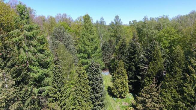 Działka, Zemborzyce Tereszyńskie, 57 ar