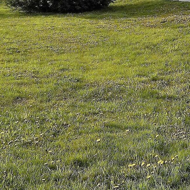 Dąbrowica, gm.Jastków. Plan zagospodarowania,media