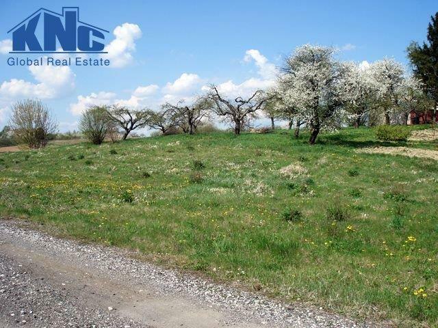 Sprzedam grunt rolny!