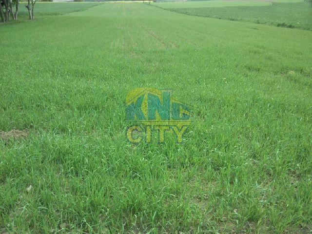 Sprzedam działkę pod bud. jednorodzinne!