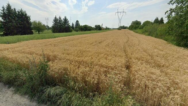 Grunt rolny w Lublinie o powierzchni 54 ar