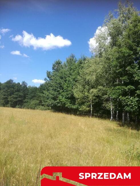 Kolonia Garbatówka, działka rolna, 3,18 ha!!