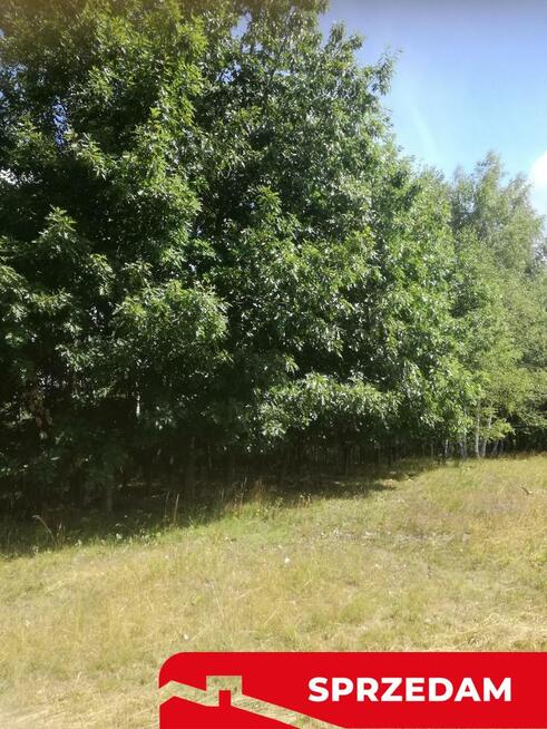 Kolonia Garbatówka, działka rolna, 3,18 ha!!