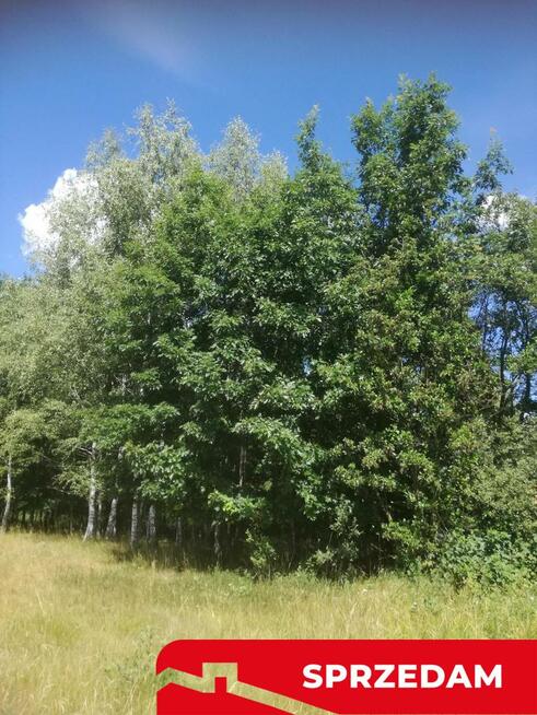 Kolonia Garbatówka, działka rolna, 3,18 ha!!