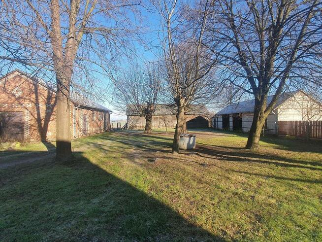 Piękne siedlisko położone w Kiełczewicach Górnych.