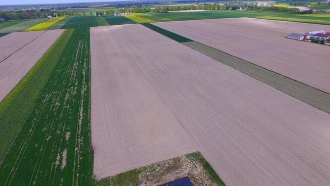 Stoczek Kol. - Duża działka w doskonałej lok.
