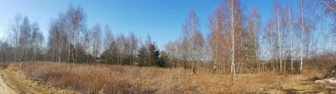 Piękna działka rekreacyjna na zaciszu - Karczmiska