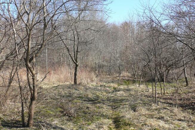 Jabłonna Druga - duża działka z domem + bud gosp!