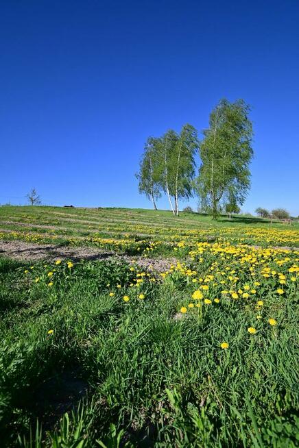 Karczmiska I 12 km od Kazimierza Dolnego