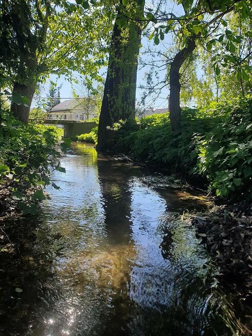Karczmiska I 12 km od Kazimierza Dolnego