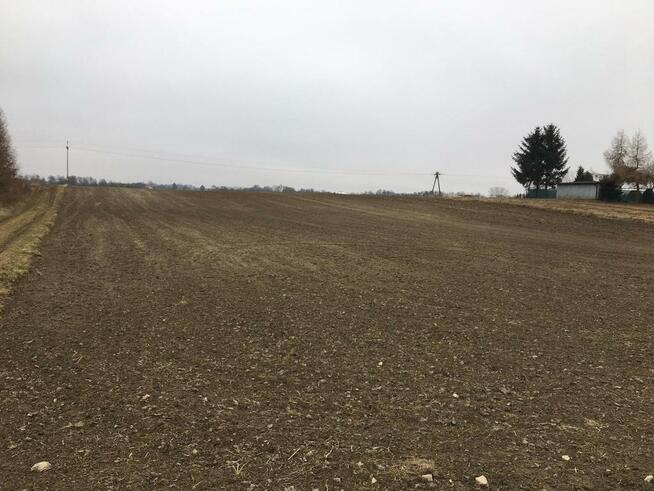 Działka 1.84ha Tomaszowice- Kolonia