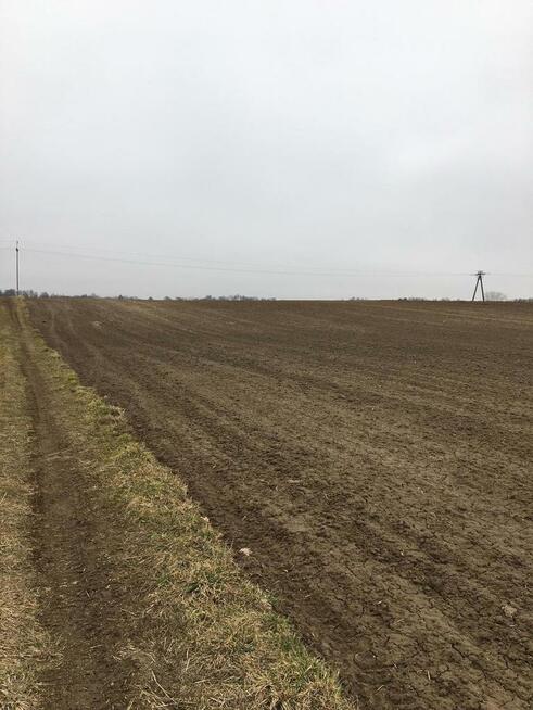 Działka 1.84ha Tomaszowice- Kolonia