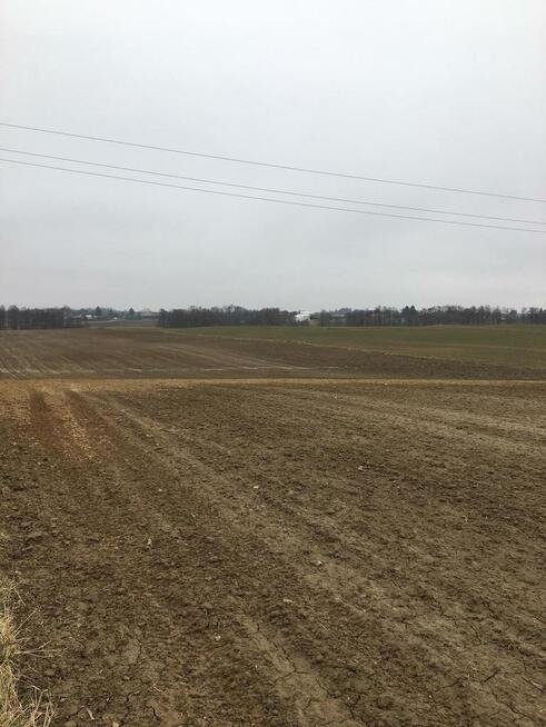 Działka 1.84ha Tomaszowice- Kolonia