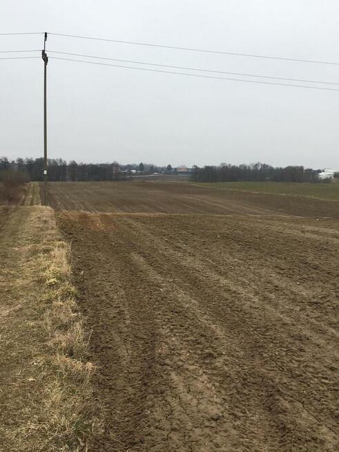 Działka 1.84ha Tomaszowice- Kolonia