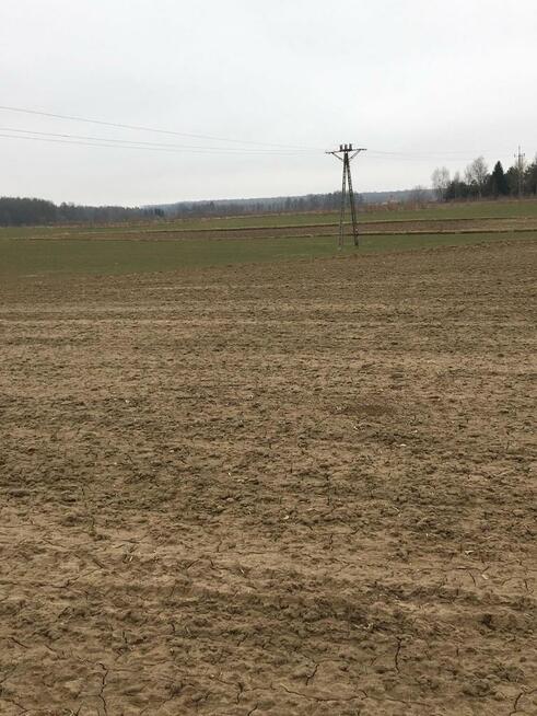 Działka 1.84ha Tomaszowice- Kolonia