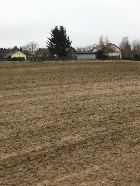 Działka 1.84ha Tomaszowice- Kolonia