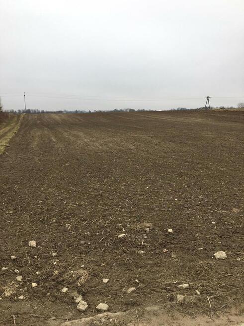 Działka 1.84ha Tomaszowice- Kolonia