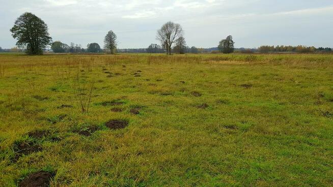 Grunt w Samoklęskach, gmina Kamionka, 22ar!