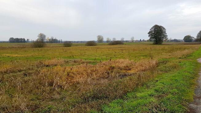 Grunt w Samoklęskach, gmina Kamionka, 22ar!