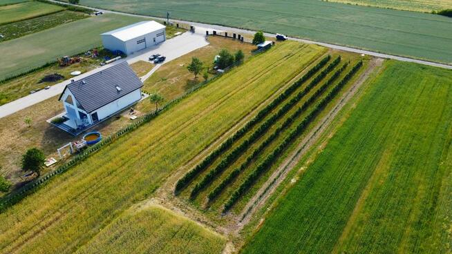 Borów Kol. Duża działka z możliwością uzyskania WZ