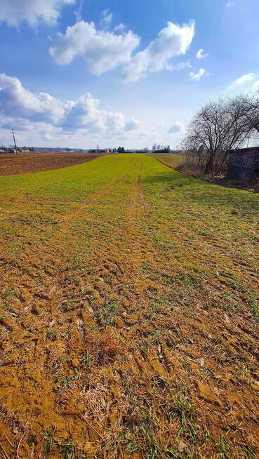 Działka pod zabudowę - Miłocin Kolonia - 47ar