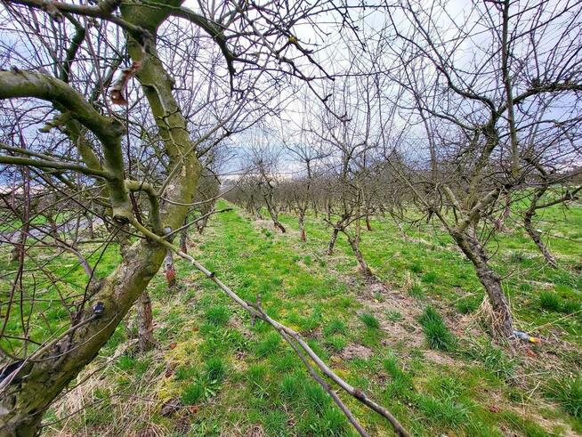 Motycz, - 30 ar - blisko szkoły, do wydzielenia