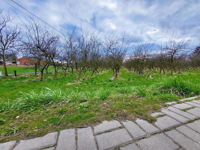 Motycz, - 30 ar - blisko szkoły, do wydzielenia