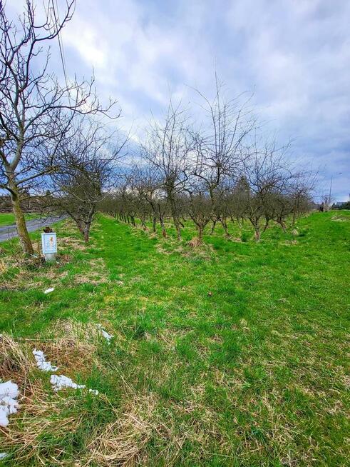 Motycz, - 30 ar - blisko szkoły, do wydzielenia