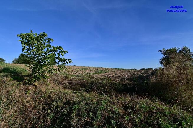 Piotrowice - działka 20 arów w doskonałej cenie!