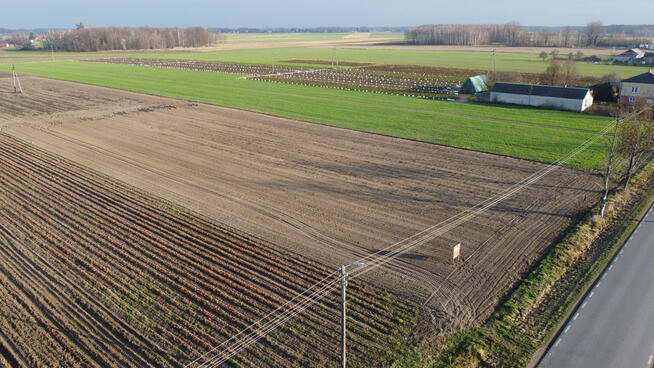 Szereg działek z WZ w Helenowie gm. Policzna.