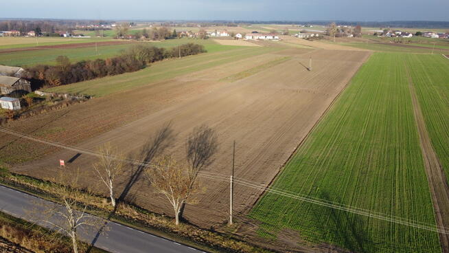 Szereg działek z WZ w Helenowie gm. Policzna.