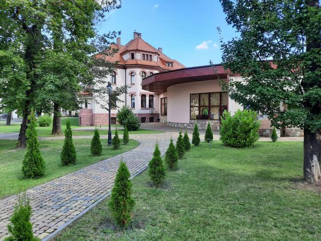 Szukam wspólnika / współwłaściciela lub kupca