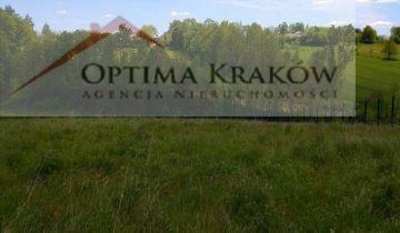 Działka rolno-budowlana Dąbie gm. Raciechowice