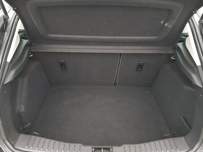 Ford Focus 1,5 Turbo Benzyna Xenony Nawigacja Zarejestrowany Gwarancja