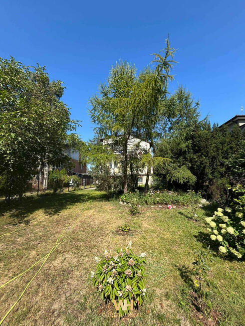 Dom Zielonka, Wiejska