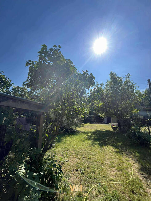 Dom Zielonka, Wiejska