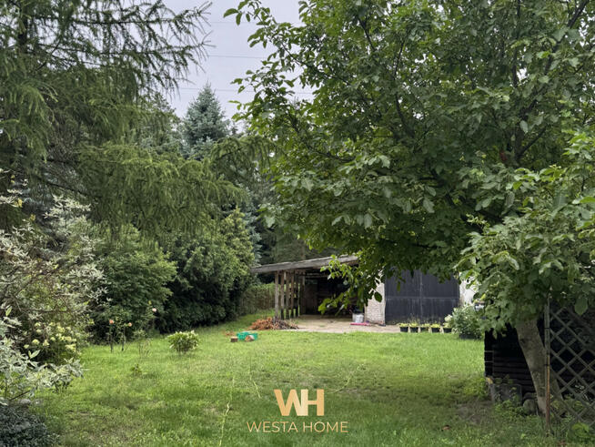 Dom Zielonka, Wiejska