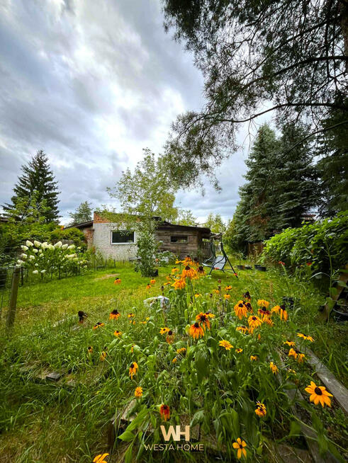 Dom Zielonka, Wiejska